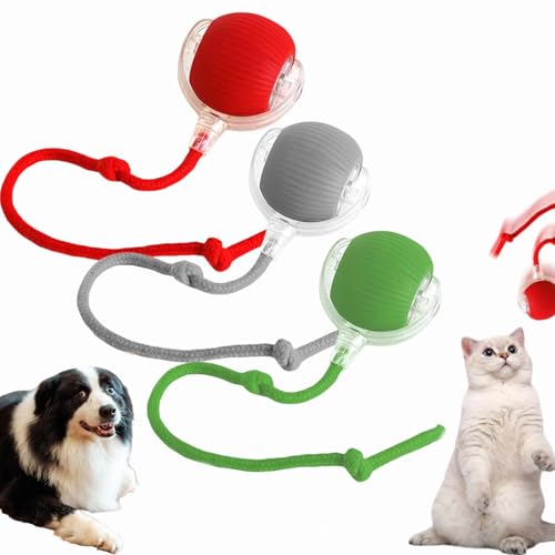 Interaktives Katzenspielzeug Katzenball, Interaktives Hundespielzeug Ball, Smart Automatisch Rollender Ball für Kleine, Mittlere Hunde, Intelligenz Katzenspielzeug Ball für Katzen Hunde (3PCS) von Whnnssw