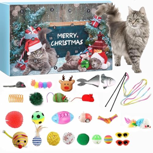 Katzen Adventskalender 2024, 24 Katzenspielzeuge Weihnachtskalender, Katzenspielzeug Weihnachts Adventskalender, Interaktives Kätzchenspielzeug Katzen Bälle Adventskalender für Katzen 2024 (1PC-B) von Whnnssw