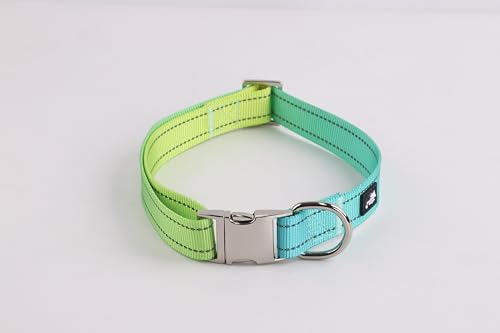 Hundehalsband Ocean S 25-40 cm Hundehalsband für große & kleine Hunde leichtgewichtiges verstellbares Halsband ideal für Spaziergänge und Training - Dog Collar mittlere Hunde von Who LED the dogs out?