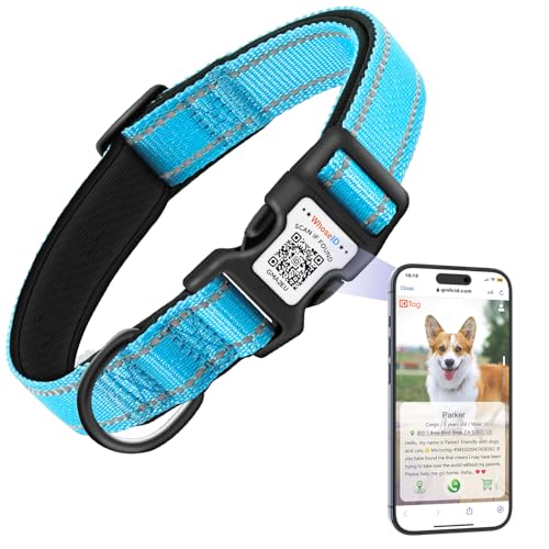 Hundehalsband mit QR-Code, reflektierendes Haustierhalsband, weiches Neopren gepolstert & Sicherheitsverriegelungsschnalle, verstellbares Hundehalsband für große Hunde (L, Blau) von WhoseID