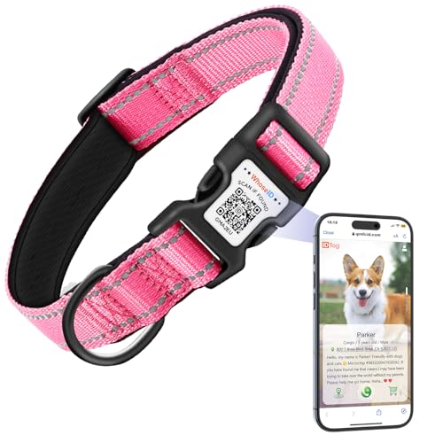 Hundehalsband mit QR-Code & NFC-ID-Tag, reflektierendes Haustierhalsband, weich gepolstert & Sicherheitsverriegelungsschnalle, verstellbares Hundehalsband für mittelgroße Hunde (Rose, M) von WhoseID