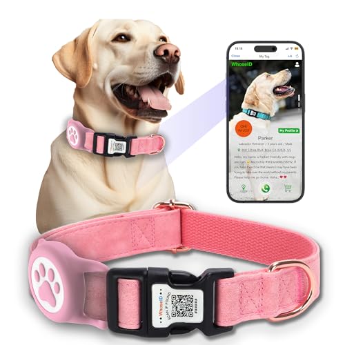 WhoseID Hundehalsband aus Leder mit wasserdichter AirTag-Halterung, QR-Code-Schnalle, verstellbare Länge, passend für mittelgroße Hunde (Rosa, mittelgroße Hunde) von WhoseID