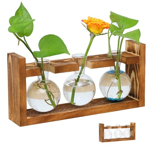 Pflanzenpropagationsstationen Pflanzen Terrarium Glasspflanzer mit Holzstand für Hydroponische Pflanzen Büro -Hausdekoration, Propagationsstation von Whyzsjnclg