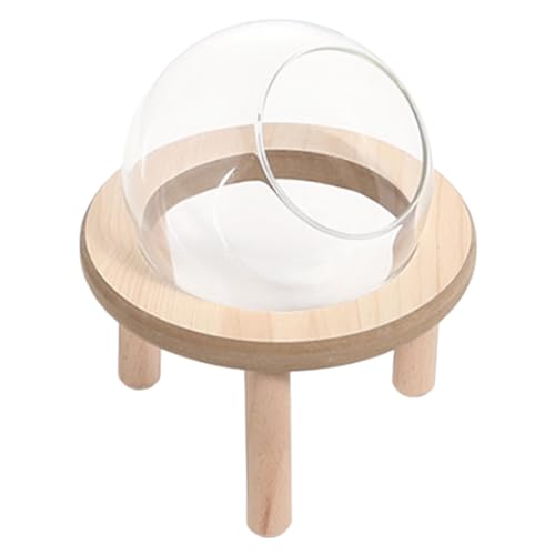 Wiclnyg Sandbadebox für Hamster,Hamster Sandbadebox - Transparente Badebox mit Spritzschutz - Niedliche Badewanne mit Holzständer, Wiederverwendbare Badebox für Kleintiere von Wiclnyg