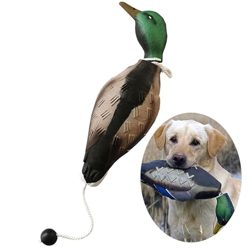 WideSmart Dummy Hundetraining,Hundetraining-Enten Dummy Hund Hundetraining Zubehör Apportierdummy Dummy Hundetraining Wasserspielzeug Hund Hunde Dummy Hunde von WideSmart