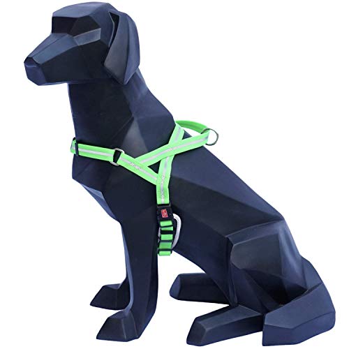 Wigzi LWH-GR Reflective Waterproof Harness, L, neon grün von Wigzi