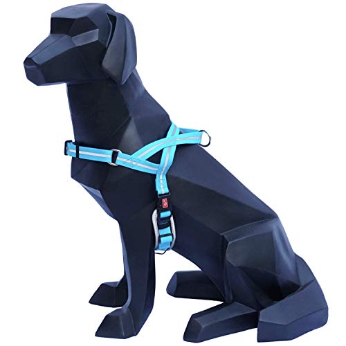 Wigzi MWH-BL Reflective Waterproof Harness, M, neon blau von Wigzi