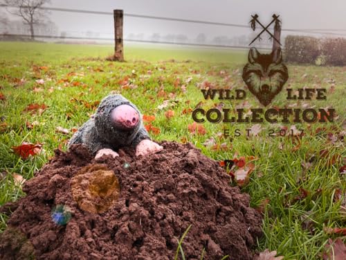 Wild Life Collection Plüsch-Spielzeug für Hunde mit Wildhund Wild Life Collection Plüsch-Spielzeug für Hunde mit Wildhund von Wild Life Collection