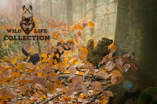 Wild Life Collection Plüschspielzeug für Hunde, Eichhörnchen, Wilde Wild Life Collection Plüschspielzeug für Hunde, Eichhörnchen, Wilde von Wild Life Collection