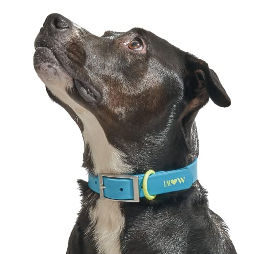 Wild One, Limitierte Auflage, Designer-Kollektion, blaues Hundehalsband, leicht zu reinigen, für jedes Wetter, flexibles Polyester-Armband mit Metall, langlebig, schmutz- und geruchsresistent, Größe von Wild One