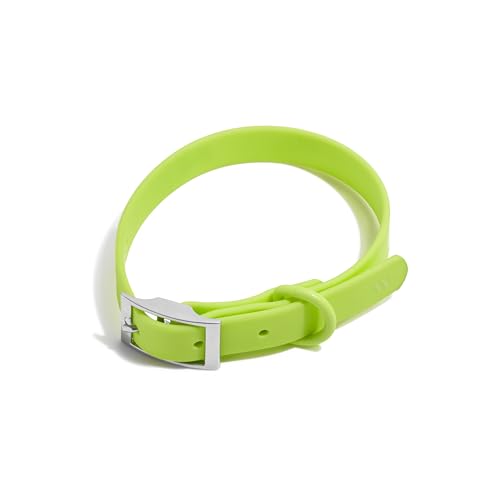 Wild One Hundehalsband, leicht zu reinigen, Allwetter-Flex-Poly-Band mit Metall, langlebig, schmutz- und geruchsabweisend (klein, Limeade) von Wild One