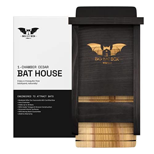 WildYard Bat House for Outdoors - Der Komplette Fledermauskasten für den Außenbereich - Säubere deinen Garten von Mücken - Fledermauskasten ohne Lack innen - Eine Kammer Zedernholz-Fledermauska von WildYard