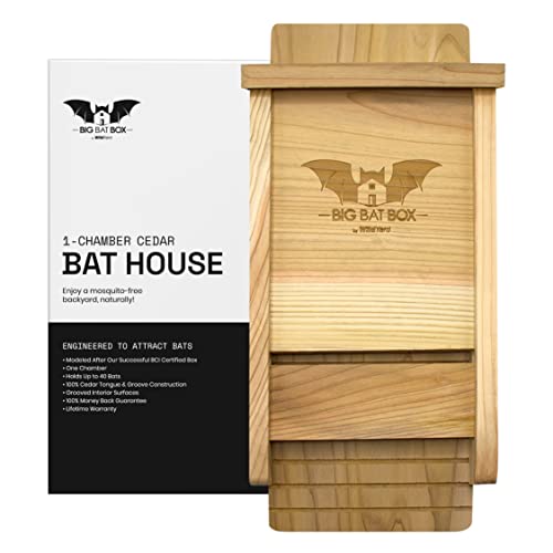 Wildyard Bat House for Outdoors - Der Komplette Fledermauskasten für den Außenbereich - Säubere deinen Garten von Mücken - Fledermauskasten ohne Lack innen - Eine Kammer Zedernholz-Fledermauska von WildYard