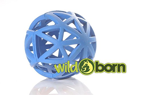 Wildborn Gitterball Hund | Gitterball Hundespielzeug Vollgummi Spielzeug | Kauspielzeug Gummiball für Hunde | Ball groß 12,5cm von Wildborn