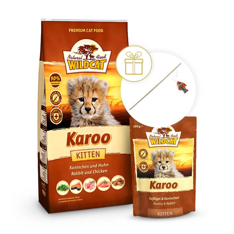 Wildcat | Karoo Kitten Vorteilpaket | Kitten | 1 Paket von Wildcat