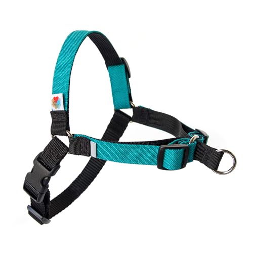 No Pull Hundegeschirr, Hundegeschirr mittelgroße Hunde, kleine Hunde, Hundetrainingsgeschirr, effektives No-Pull-Design, 4-Punkt-verstellbar – Wildebeest (L – 66 ~ 81 cm Umfang, Türkis) von Wildebeest