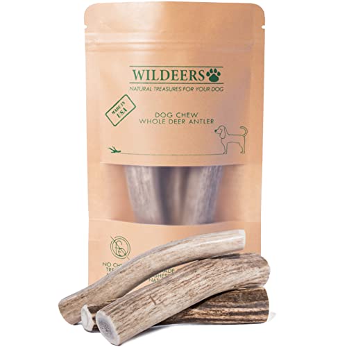 Wildeers Premium Hirschgeweih für Hunde – Hundegeweih Kauknochen, natürlich geschuppen, gesunde Leckerlis – Klasse A, 10,2–12,7 cm, 3 Stück, langlebiges Geweih-Hundekauknochen von Wildeers