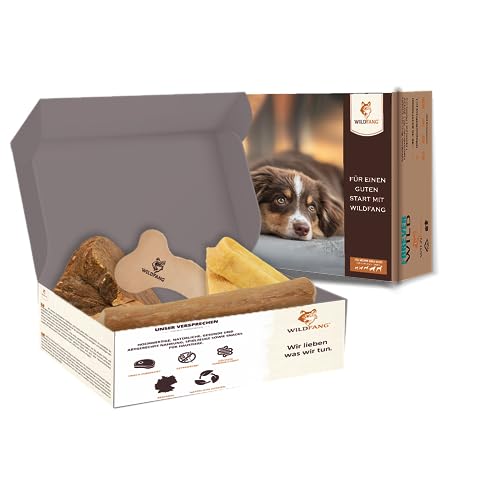 Wildfang® Paket Willkommen Streuner für Welpen, große Hunde, Lederknochen für Hunde, Yak Cheese Chewing Stick, Kauwurzel Baumheide, Kaffeeholz Kauknochen für große Hunde von Wildfang