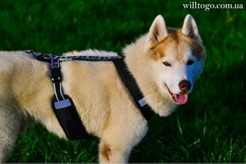 Will to go Comfort Harness Kurz-Zuggschirr-Multifunktions Hundegeschirr (Schwarz/Silver, S) von Will to go