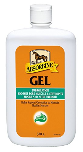 William Hunter Equestrian Absorbierende Gel-Stickerei, 340 g, Gel-Liniment – Pferd von William Hunter Equestrian