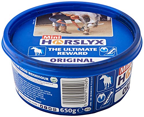 William Hunter Leckmasse ´Horslyx´, 650 g (1er Pack) von William Hunter