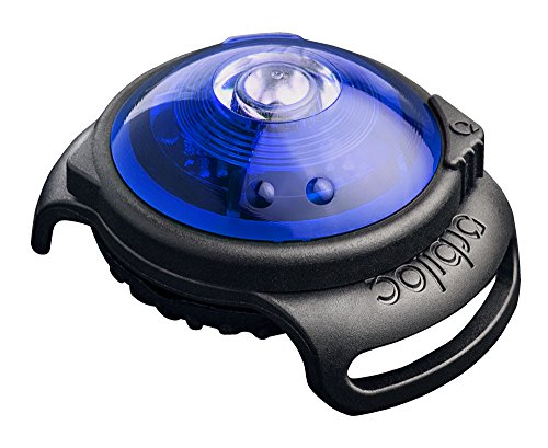 Orbiloc William Hunter Dog Dual Safety Light Hundelicht mit Befestigungsgummi, blau von Orbiloc