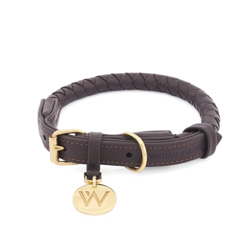 William Walker - Hochwertiges Hunde Halsband Twisted aus Rindsleder - Maximal robust, langlebig und pflegeleicht - Für kleine, mittlere und große Hunde (Grün, M (37cm - 44cm)) von William Walker