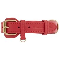 William Walker Hundehalsband Plain Chili XL von William Walker