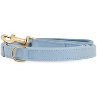 William Walker Hundeleine Plain Sky XXS-XS von William Walker