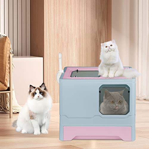 Katzentoilette mit Schaufel, Kiste und Deodorant, großes Volumen, 45 x 35 x 38 cm, Polypropylen, Blau Katzentoilette mit Schaufel, Kiste und Deodorant, großes Volumen, 45 x 35 x 38 cm, Polypropylen, Blau von Willonin