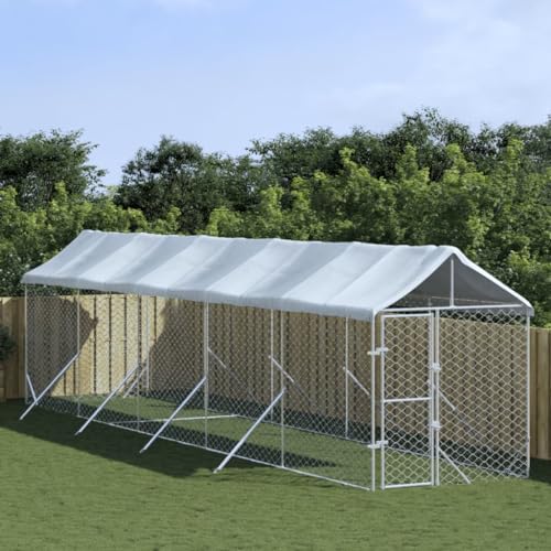 Willood Outdoor Hundezwinger mit Dach Silbern 2x10x2.5 m Stahl Verzinkt von Willood