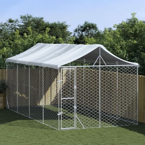 Willood Outdoor Hundezwinger mit Dach Silbern 3x6x2.5m Verzinkter Stahl von Willood