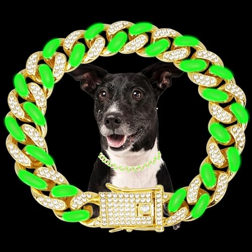 WimuPath Versilbertes grünes Diamant-Hundehalsband – Metallkette im kubanischen Stil mit sicherer Schnalle, luxuriöses, langlebiges Halsband für kleine/mittelgroße/große Hunde und Welpen WimuPath Versilbertes grünes Diamant-Hundehalsband – Metallkette im kubanischen Stil mit sicherer Schnalle, luxuriöses, langlebiges Halsband für kleine/mittelgroße/große Hunde und Welpen von WimuPath