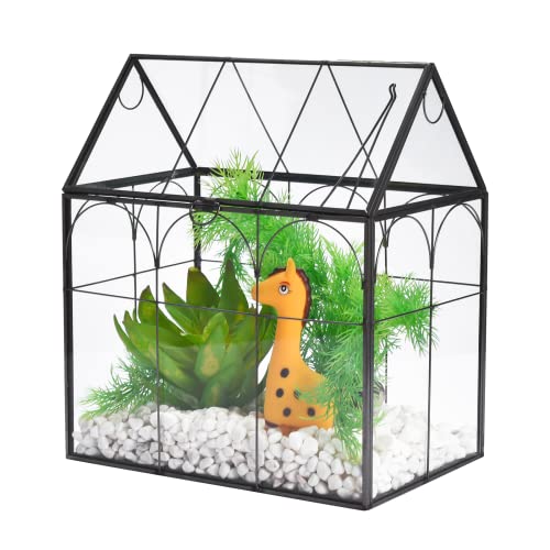 Window Garden Glas-Terrarium mit Deckel – 22,9 x 27,9 x 15,2 cm für den Innenbereich, Pflanzenterrarium, Dekoration, Pflanzenkuppel, Terrarium-Set, Tischgewächshaus, Pflanzenzubehör, ideales Geschenk von Window Garden