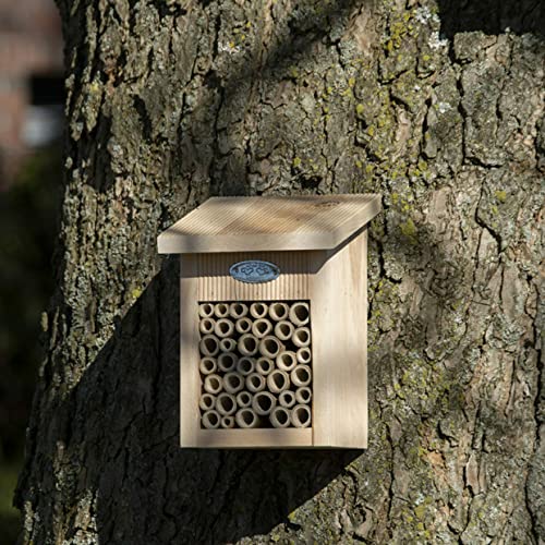 windschief-living Zauberhaftes Bienenhaus, Bienen aus Erlenholz, Landhaus Stil von windschief-living