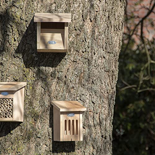 windschief-living Zauberhaftes Schmetterlingshaus, Schmetterling aus Erlenholz, Landhaus Stil von windschief-living