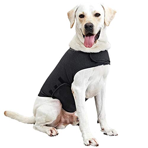 WingFly Hundemantel Beruhigungsweste Hund Anxiety Shirt Stressabbau für Hunde Angst Hundeangst Jacke Hundeentlastungs Haustier Kleidung Haustier Emotionale Beruhigend (L, Grau) von WingFly