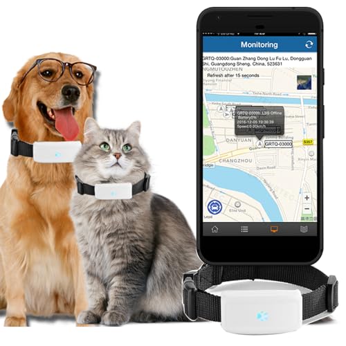 Winnes GPS Tracker für Hunde und Katzen, Geofence-Schutz, APP-Fernüberwachung, Echtzeit-Positionierung, Wasserdichter Alarm, GPS-Halsband für Katzen und Hunde, TK911 von Winnes