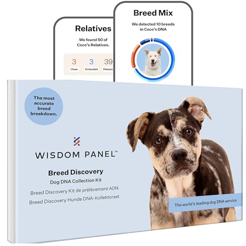Wisdom Panel zur Feststellung von Hunderassen DNA-Test-Kit – präzise Rassen-ID MDR1 Abstammung Verwandte von Wisdom Panel