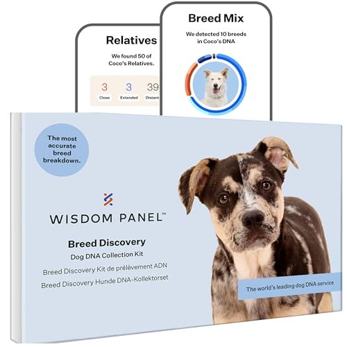 Wisdom Panel zur Feststellung von Hunderassen DNA-Test-Kit – präzise Rassen-ID MDR1 Abstammung Verwandte von Wisdom