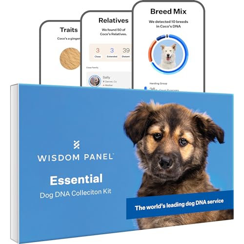 Wisdom Panel Essential – Hunde-DNA-Test für Ahnen, Rassen, Eigenschaften und Gesundheitstests von Wisdom Panel