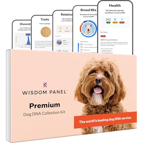 Wisdom Panel Premium - Dog DNA Test for Umfassende Gesundheit, Eigenschaften und Vorfahren 75g von Wisdom Panel