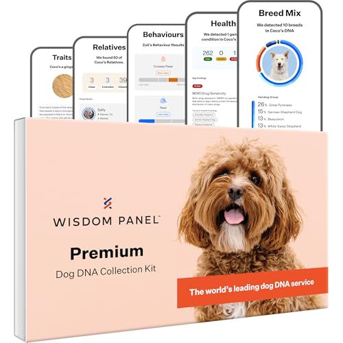 Wisdom Panel Premium - Dog DNA Test for Umfassende Gesundheit, Eigenschaften und Vorfahren 75g von Wisdom Panel