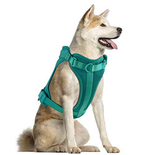 Wisedog Leichtes Hundegeschirr mit weichem und bequemem Kissen, atmungsaktives Netzgewebe, für kleine, mittelgroße und große Hunde (L (Hals: 41 cm - 53 cm; Brustumfang: 61 cm - 97 cm), Smaragdgrün) von Wisedog