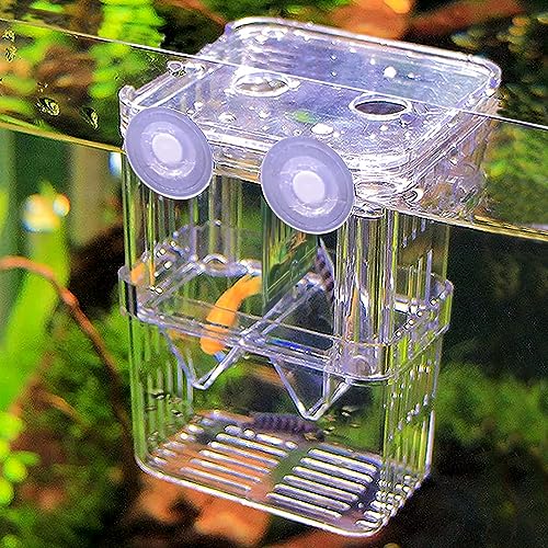 WishLotus Fischzuchtbox, hängende Züchterbox für Aquarium mit Saugnäpfen, multifunktionale Aquarium-Fischisolationsbox, Brutkasten, Brutkasten für Garnelen, Clownfisch, Betta (S) von WishLotus