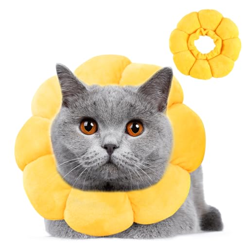 Wishstar Premium Halskrause Katze Größen S, Leckschutz Katze, Weich Halskragen für Katzen Kleiner Hunde Nach Operation, Elisabethanischer Kragen, Sonnenblume Halskrause von Wishstar