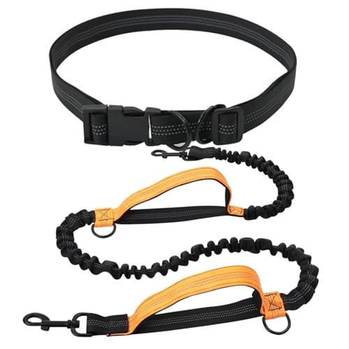 Hands Free Hundeleine, Hundeleine zum Spazierengehen, Nylon Professionelle Hundeleine, Laufleine für Wandern, Laufen, Spazierengehen und Outdoor von Wisylizv