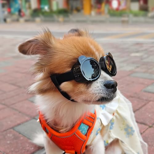 Hundebrillen – Sonnenbrillen für Hunde | Antibeschlagbrille für Hunde | UV-Schutz-Sonnenbrille für Hunde mit verstellbarem Riemen | Winddichte Hundebrille für kleine Rassen von Wisylizv