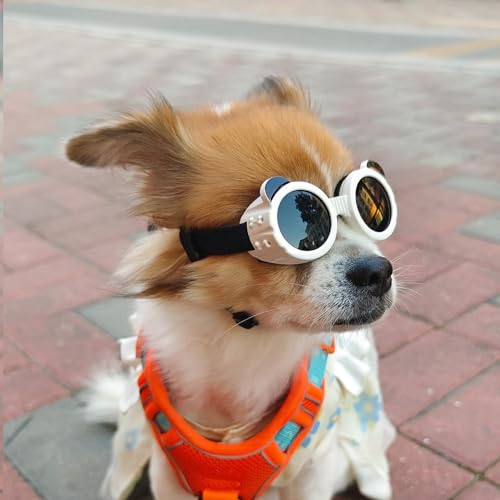 Hundebrillen – Sonnenbrillen für Hunde | Antibeschlagbrille für Hunde | UV-Schutz-Sonnenbrille für Hunde mit verstellbarem Riemen | Winddichte Hundebrille für kleine Rassen von Wisylizv