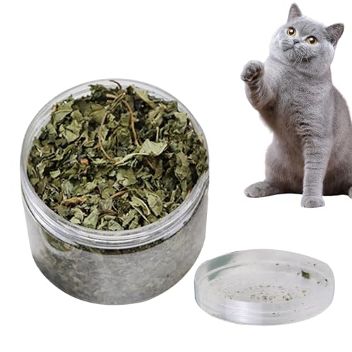 Wisylizv Katzenminze, 40 g, echte natürliche Katzenminze, natürliche getrocknete gemahlene Katzenminze, gesunde entspannende Katzensnacks, beruhigende Katze für Hauskatzen, Mundgesundheit von Wisylizv